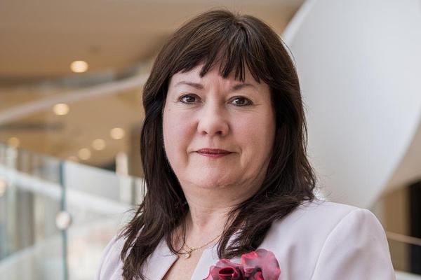 Lucie Dryáková, Deloitte